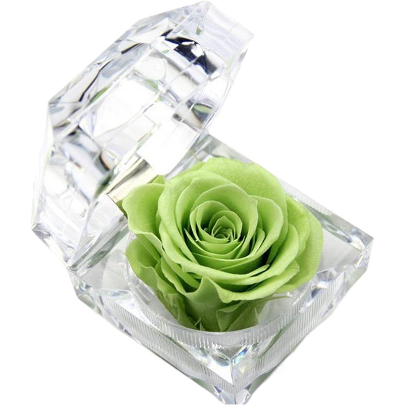 Eternal Flower Rose Acrylic Necklace Ring Gift Box Stall High-end Valentine's Day Gift Cross-border Wholesale