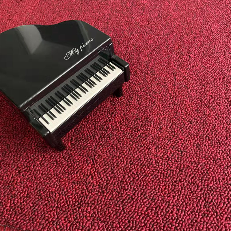 Thickened Encrypted Pure Color Photo Carpet Office Dance Room Living Room Corridor Balcony Bedroom Live Broadcast Room Floor Mat
