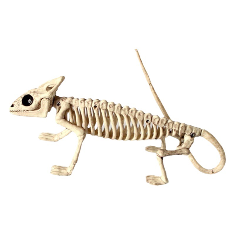 Halloween Skeleton Decorations Flying Dragon Cat Spider Skull Bone Ornaments Plastic Animal Props Dragon Bone