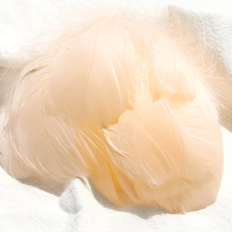 Picture of diy handmade color floating feather goose feather dream catcher wave ball gift box filling decoration materials