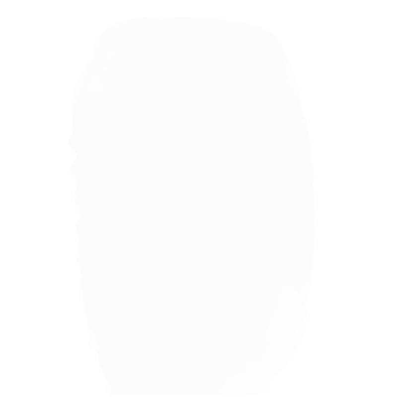 2024 summer cross-border Amazon wish Europe and the United States ebay new horn sleeve long sleeve hollow lace shirt clothing women