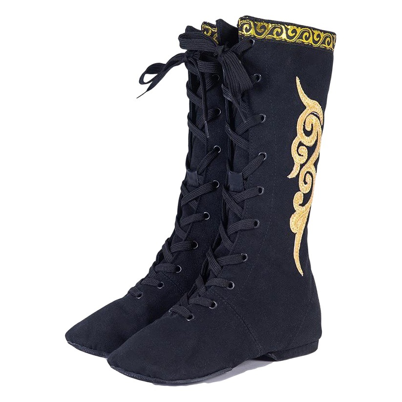 Dance Boots Xizang Dance Boots for Men and Women Mongolian Dance Boots Horse Boots Mongolian Dance Performance Boots Examination Art Test Boots