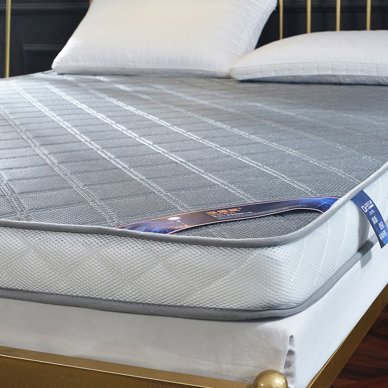 Picture of Dormitory Mattress Rental Room Cushion Student Single Bed Cushion Household Thickened Sleeping Cushion Mattress Tatami Mattress Wholesale