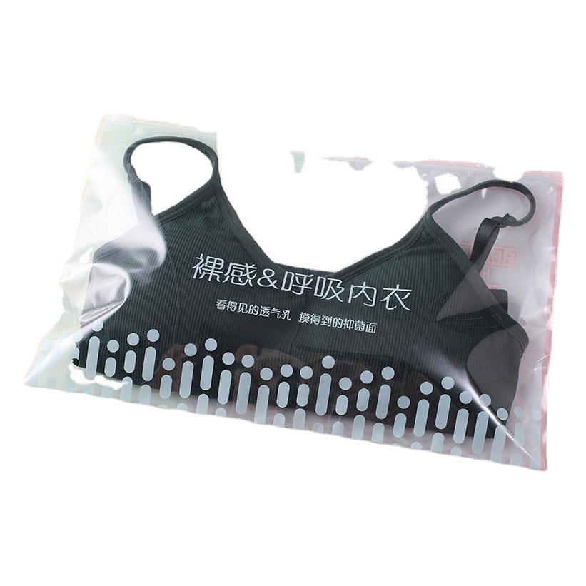 Ins Japanese underwear PE clothing zipper bag transparent horizontal bra clothing packaging bag cute self-sealing bag