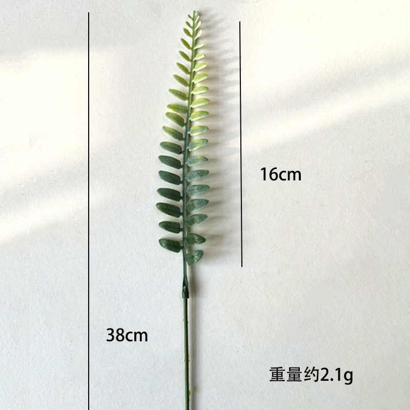 Picture of Amazon Cross-Border Artificial Flower Artificial Eucalyptus Leaf Stem Short Silver Dollar Branch Decorative Leaf Simulated Green Plant Plastic Leaf