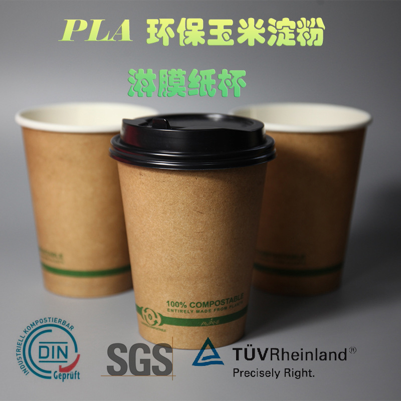 Customized 8/12oz PLA paper cup Double Layer Laminated Degradable Kraft Paper Cup with Lid Disposable Paper Cup