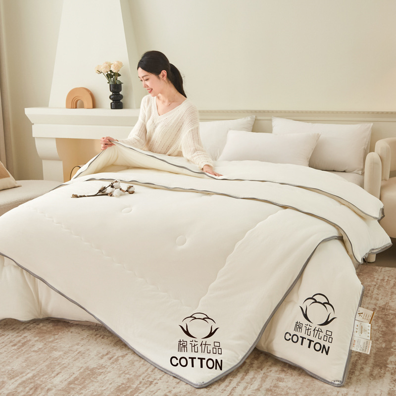 Class a Xinjiang Cotton Quilt Spring & Fall Bedding Winter Thickeneded Quilt Core Student Dormitory Quilt Two-In-One Zipper Style