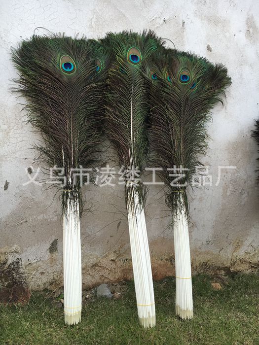 Manufacturers peacock feathers various sizes wholesale 100-110cm peacock feather in stock