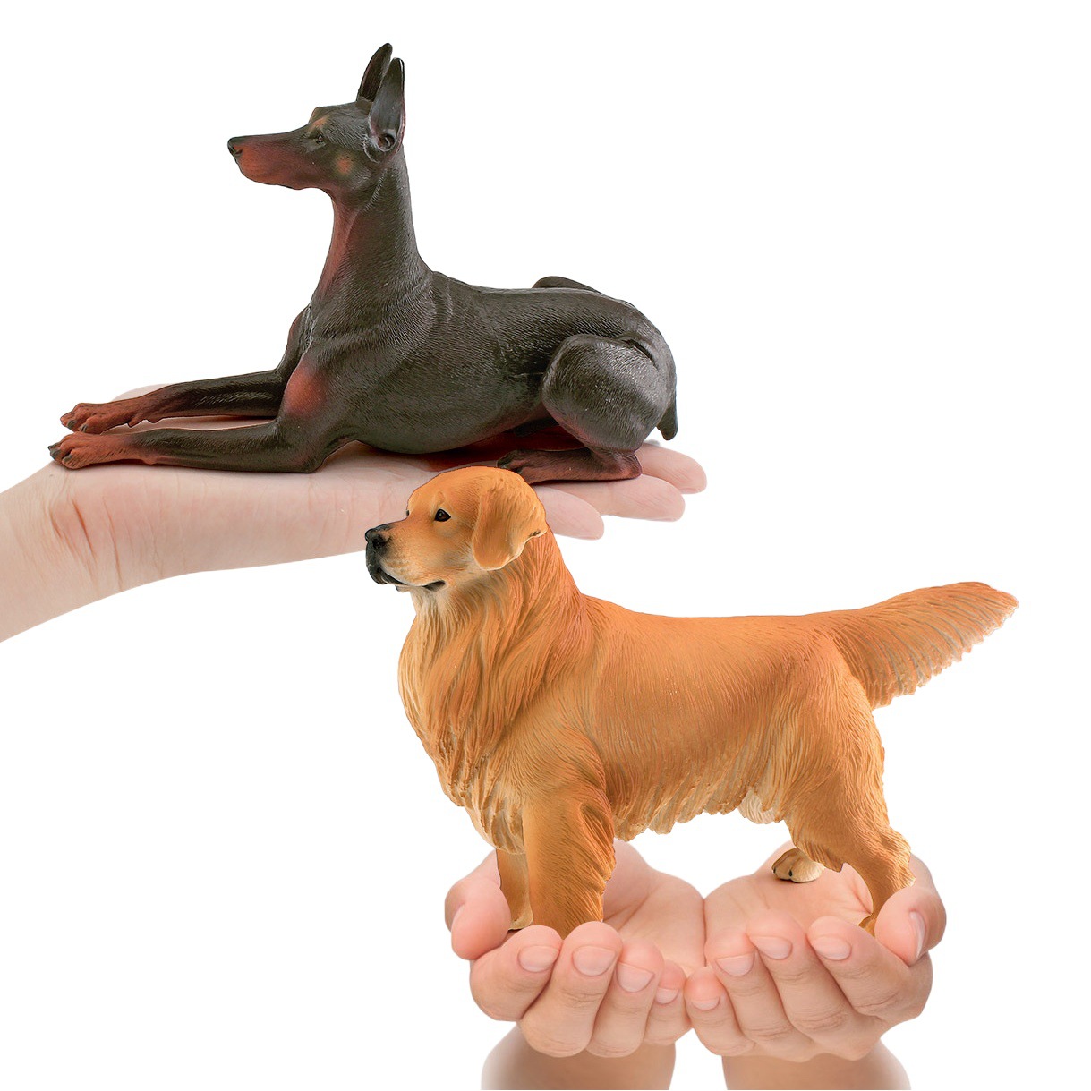 Cross-border Simulation Pet Dog Model Large Solid Chai Dog Golden Retriever Doberman Desktop Static Ornaments Toy