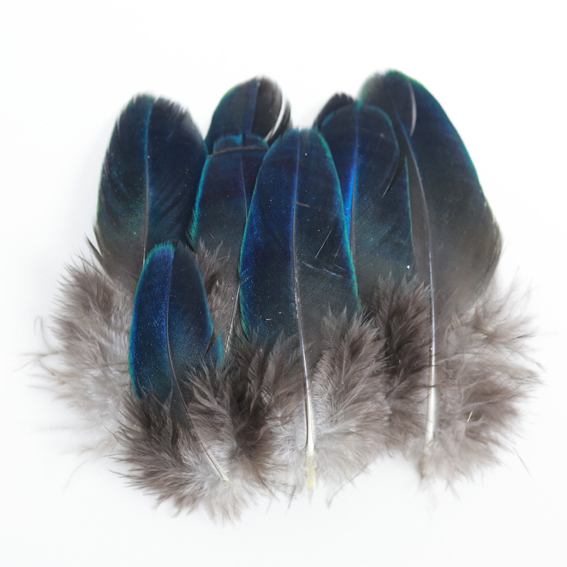 Imitation Diocui Natural Blue Pieces Peacock Wings Rare Small Feather DIY Accessories Clothing Crafts Decoration