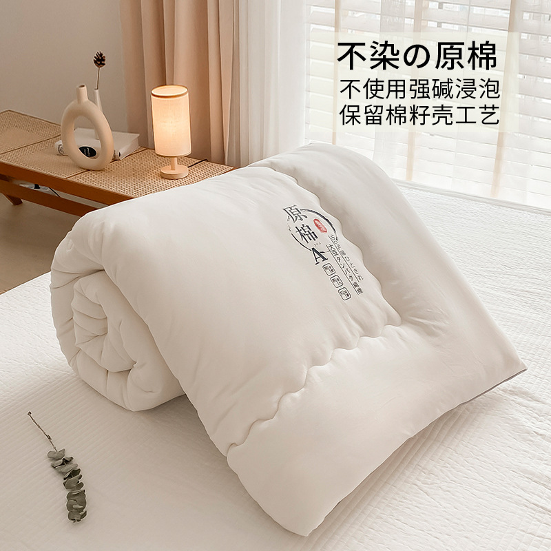 Picture of Class A Raw Cotton Soybean Fiber Quilt Japanese Soybean Quilt Spring and Autumn Quilt Core Thickened Winter Quilt Student Quilt Gift Quilt