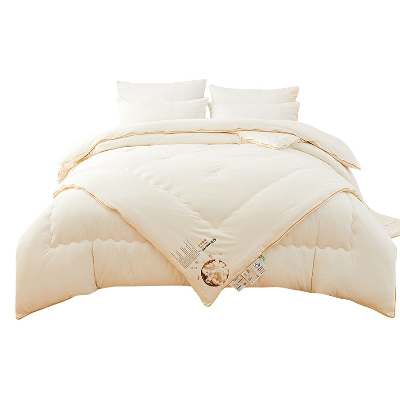 Winter class A mother and child silk quilt spring and autumn quilt zipper two-in-one mother and child quilt thickened quilt core cotton winter quilt