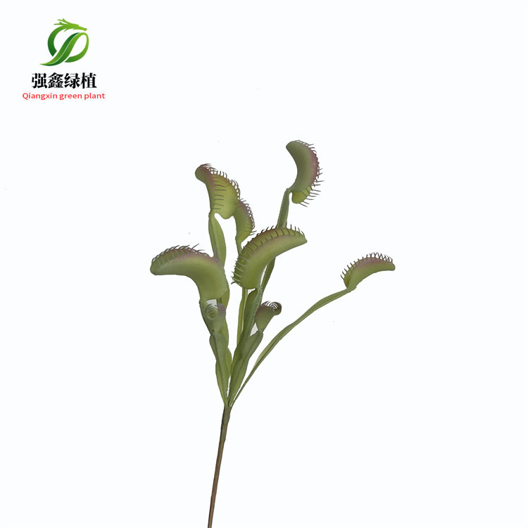 Picture of Artificial succulent Cordyceps simulation fly-eating grass people stay small bonsai decorative AliExpress Amazon supply