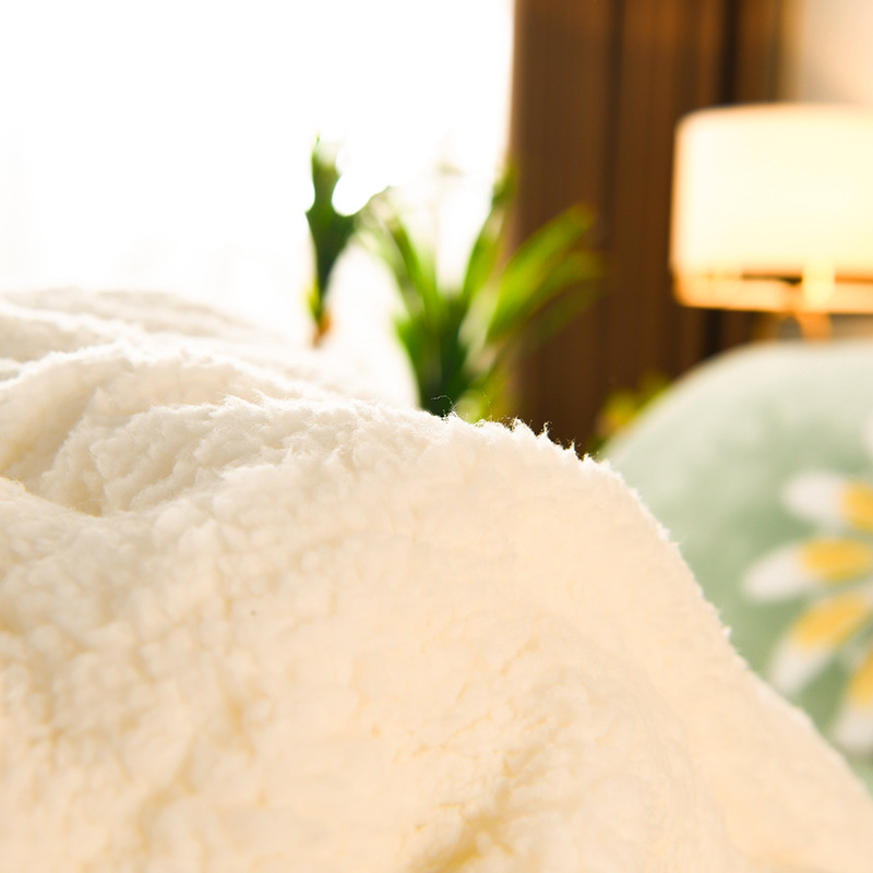 Picture of Winter Lamb Velvet Winter Quilt Thickeneded Warm Fleece-Lined Quilt Core Double Cotton Quilt Winter Single Dormitory Bed