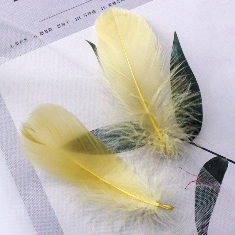 Picture of Macaron color feather decoration goose feather large and medium floating dream catcher gift box filled bouquet diy handmade material