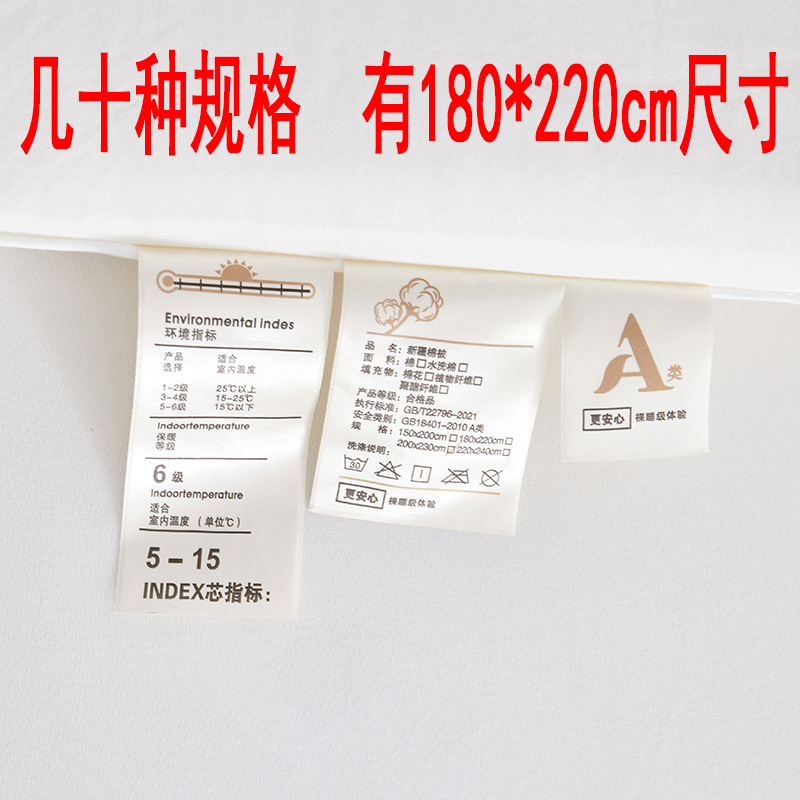 Picture of Class A Mother and Child Grade Xinjiang Cotton Quilt Summer Cool Quilt Household Air-conditioning Quilt Student Dormitory Quilt Quilt Core Bedding Bedroom
