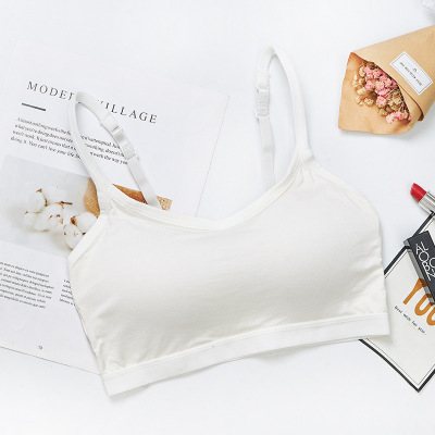 Picture of European and American Foreign Trade Breathable Short Camisole Beautiful Back Bra Fixed Cup No Steel Ring Wrap Breast Tube Top Underwear bra