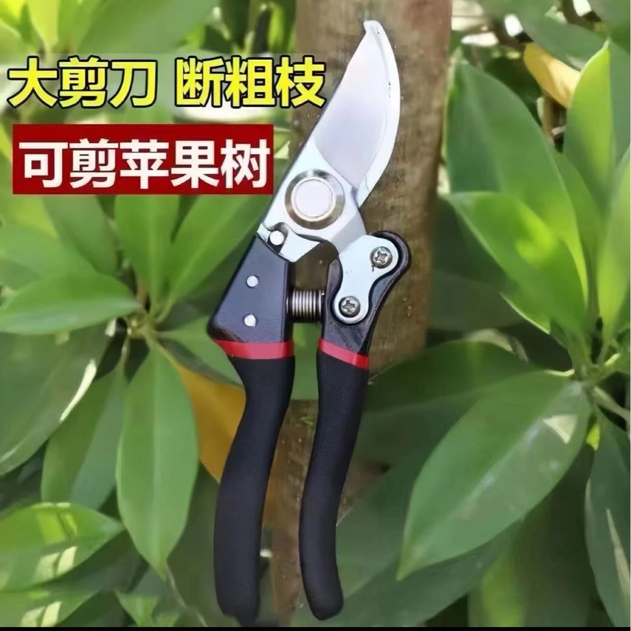 Garden pruning shears SK5 strong gardening shears stainless steel labor-saving pruning special shears for thick branches of fruit trees
