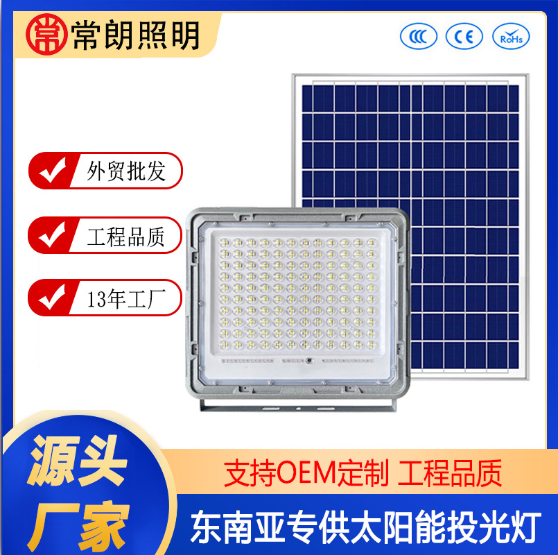 Lens Solar Floodlight Outdoor New Rural Human Body Induction Garden Light Starry Split Wall Light Wholesale