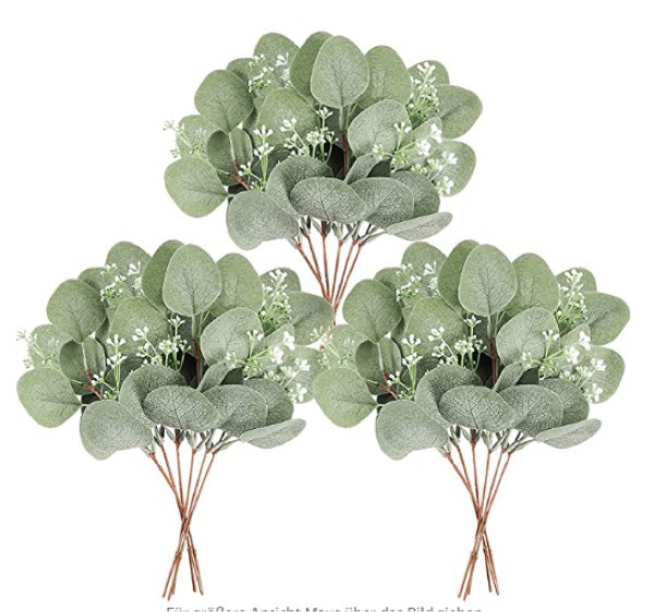 Picture of Eucalyptus leaves eucalyptus leaves simulation single simulation green plant christinae multicolor Frost White Frost eucalyptus