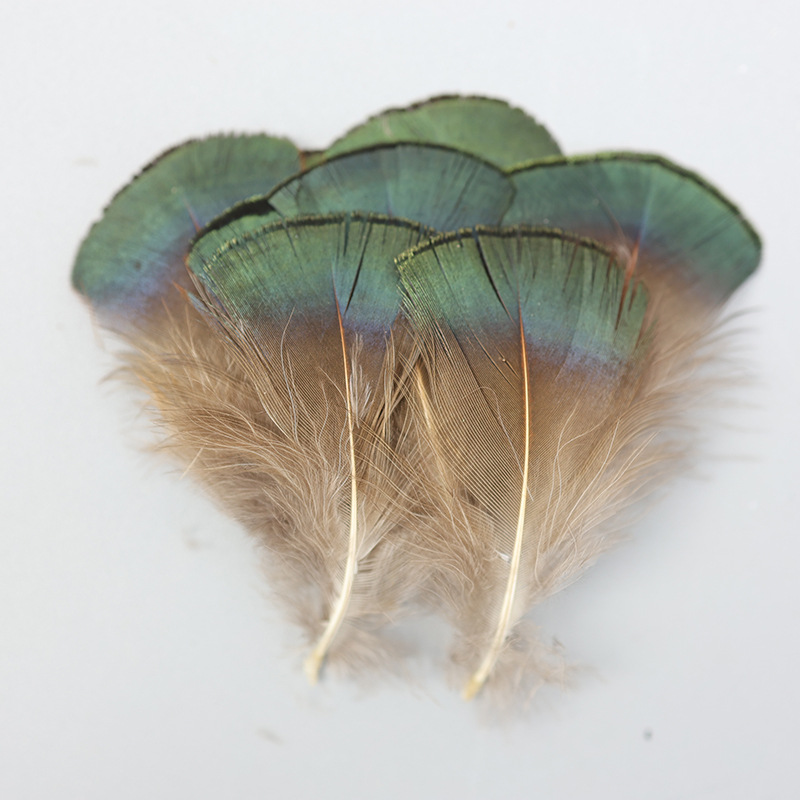 Wholesale Natural Pheasant Green Flakes DIY Jewelry Clothing Crafts Graduation Design Accessories Decorative Small Feather Accessories
