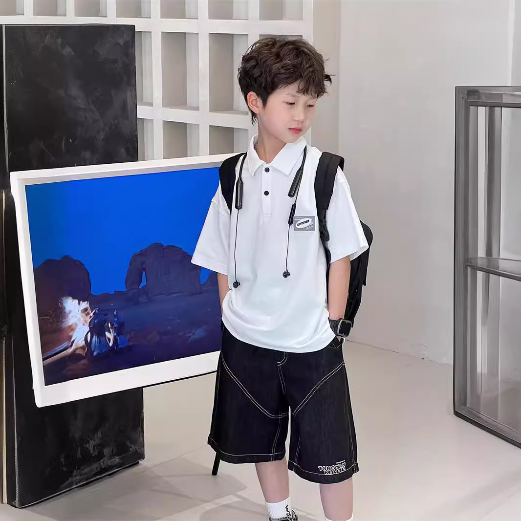 Picture of Children's Wear Boys Short-sleeved T-shirt Polo Shirt Summer 2024 New Summer Mid-large Children's Summer Pure Cotton Top Trendy