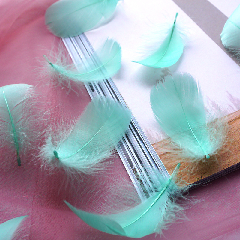 Picture of Manufacturer Wholesale Macaron Colorfulful Small Feather 5-8cm Goose Feather Small Floating Wave Ball Balloon Filling Decorative Material