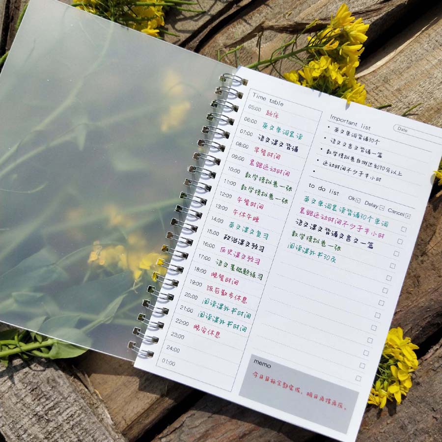 South Korea creative stationery transparent PP frosted daily schedule time schedule efficiency manual notes
