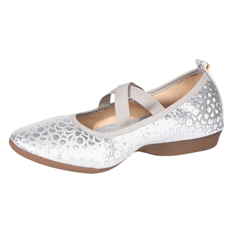 Manufacturers new dance shoes low-heeled dance shoes female Square dance shoes shoes wholesale foreign trade