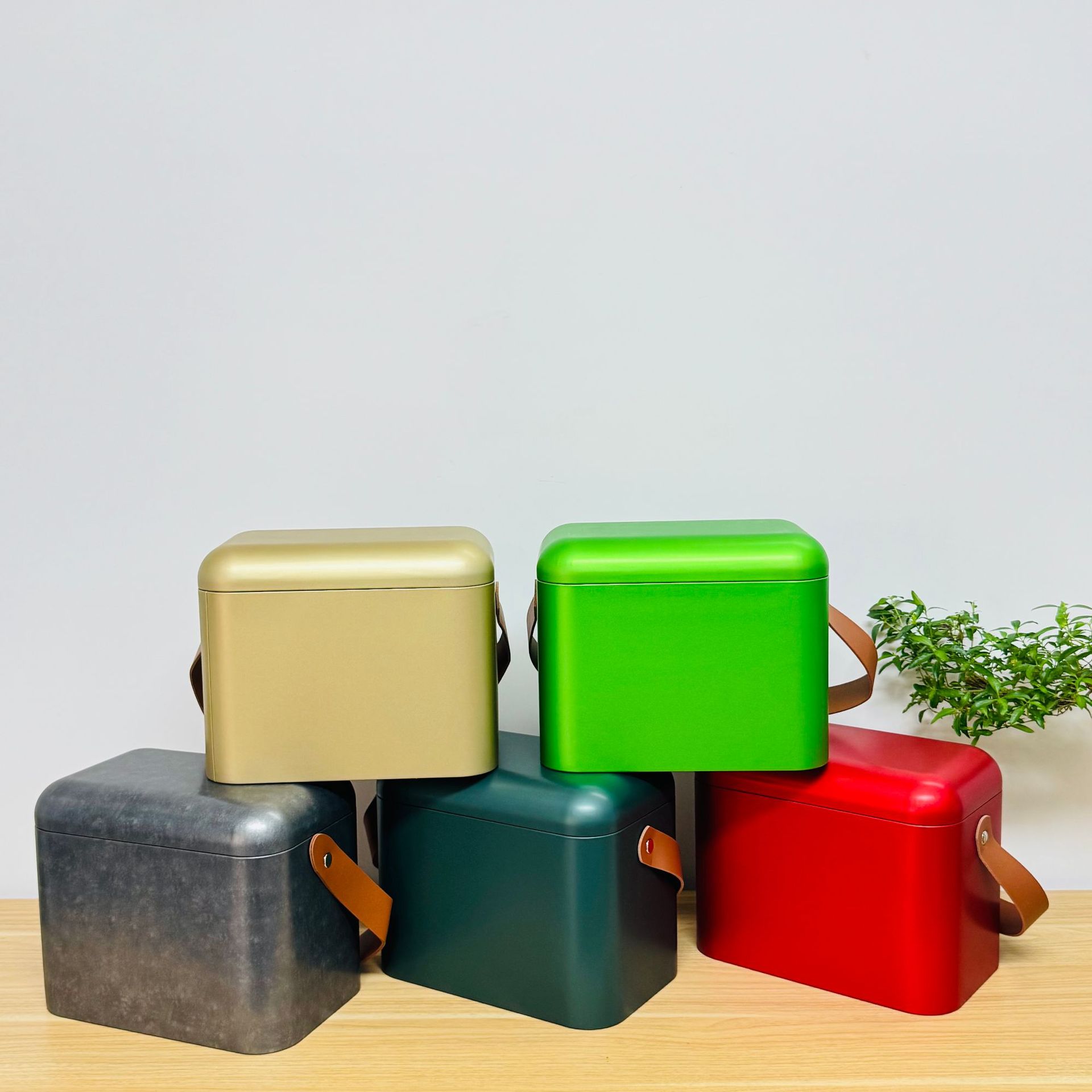 Portable Large Tinplate Tea Packaging Moisture-Proof Sealed Jar Longzhu Dahongpao Universal 0.5kg Storage Jar