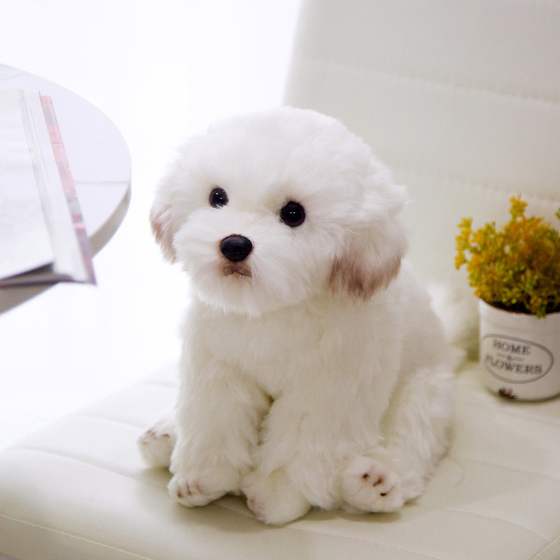 Picture of Simulation marzis dog doll cute plush toy white dog decoration soothing doll birthday gift