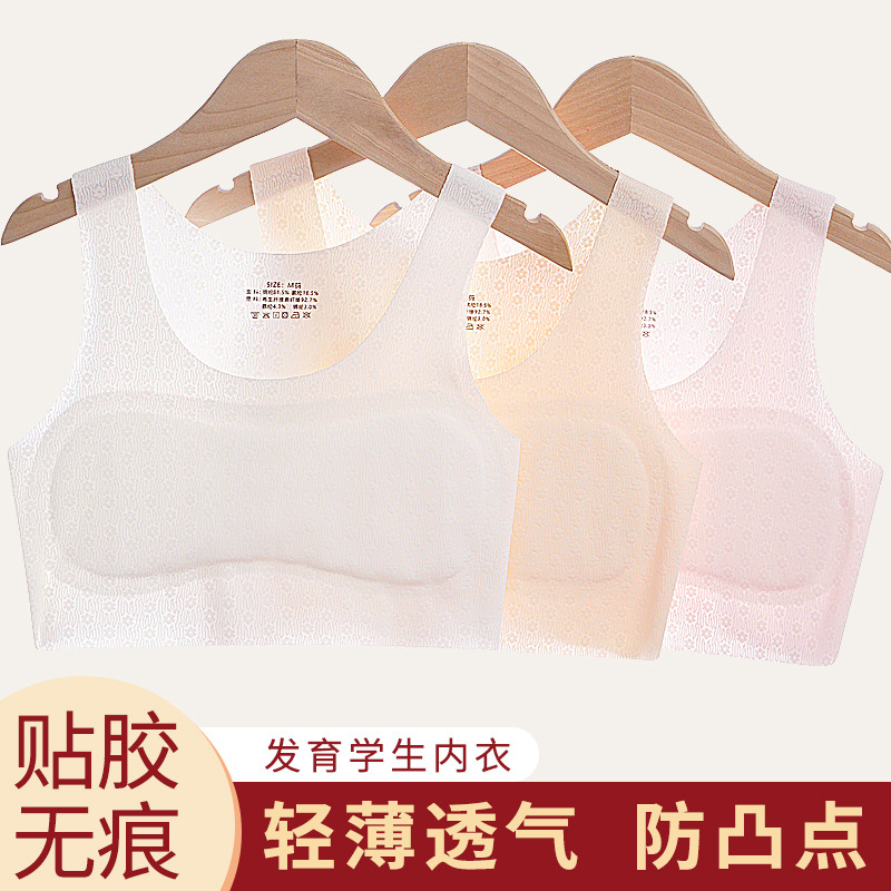 Girls' Underwear Primary School Students Girls Ages 8-14 Years Old One Stage Girls Underwear Small Vests in Development Junior High School Students