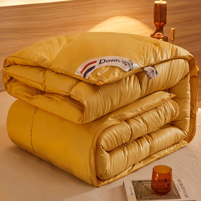 Picture of New fiber quilt thickened warm gift quilt spring and autumn quilt feather silk quilt winter quilt thick quilt core group purchase cross-border wholesale
