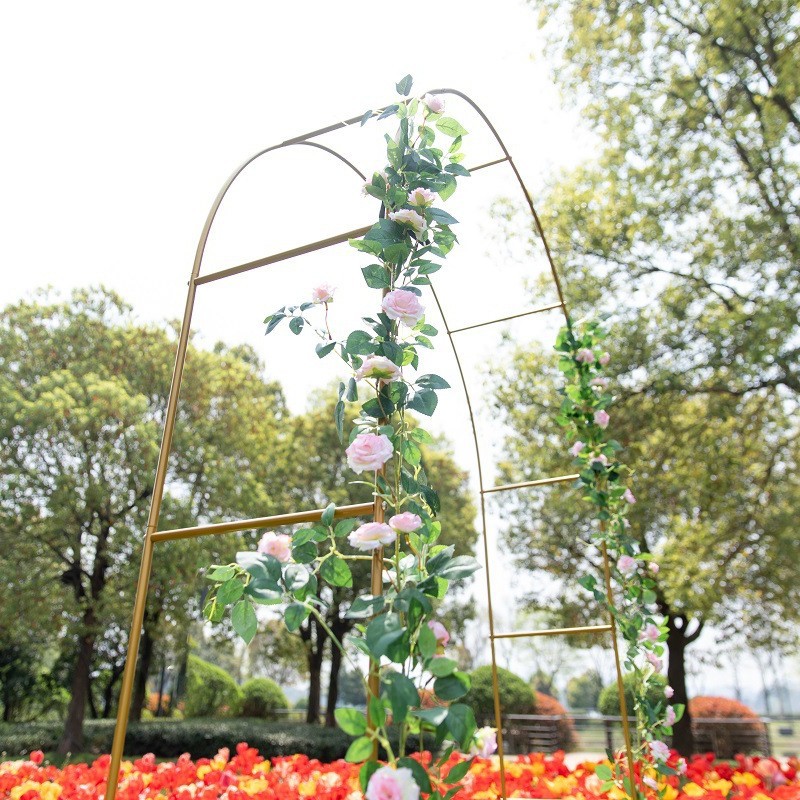 Picture of Source Factory Cross-border Hot Sale Courtyard Iron Arch Climbing Rack Wedding Garden Rose Flower Rack Grape Rack