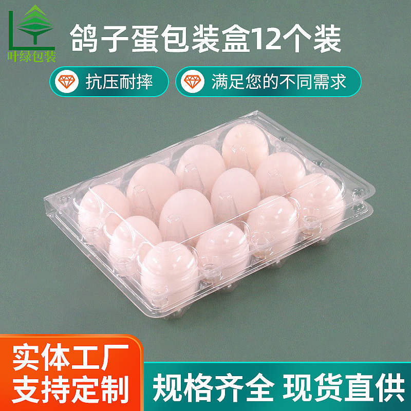 Disposable Pigeon Egg Packaging Box 12 Pieces Plastic Pigeon Egg Tray Pet Transparent Blister Pigeon Egg Box Supply