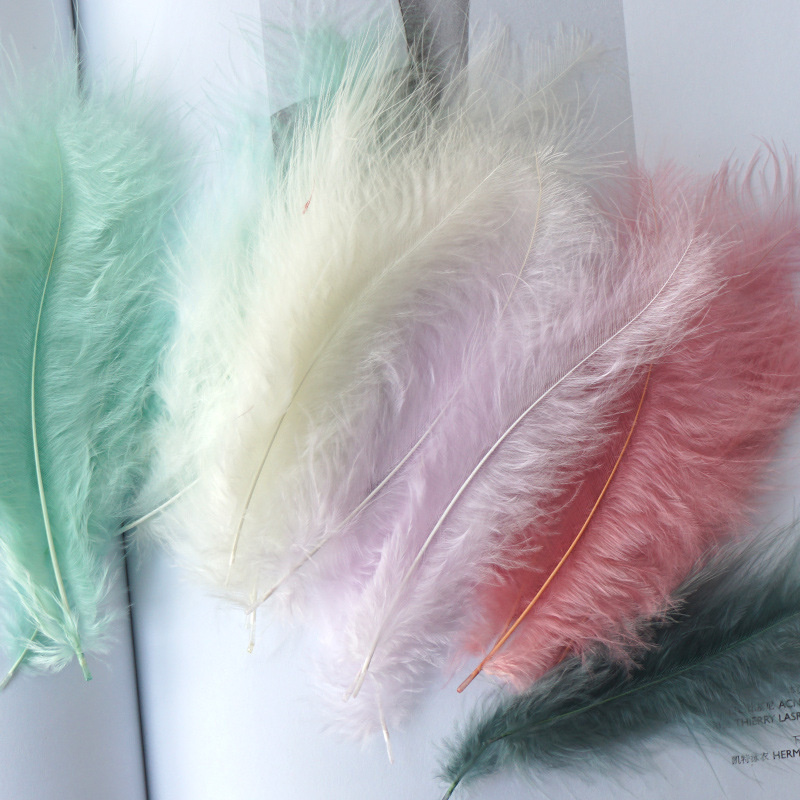 Picture of Colorful Turkey Hair Pointed Tail Velvet Dream Catcher Material Wave Ball Gift Box Filler Shooting Props Feather Decoration