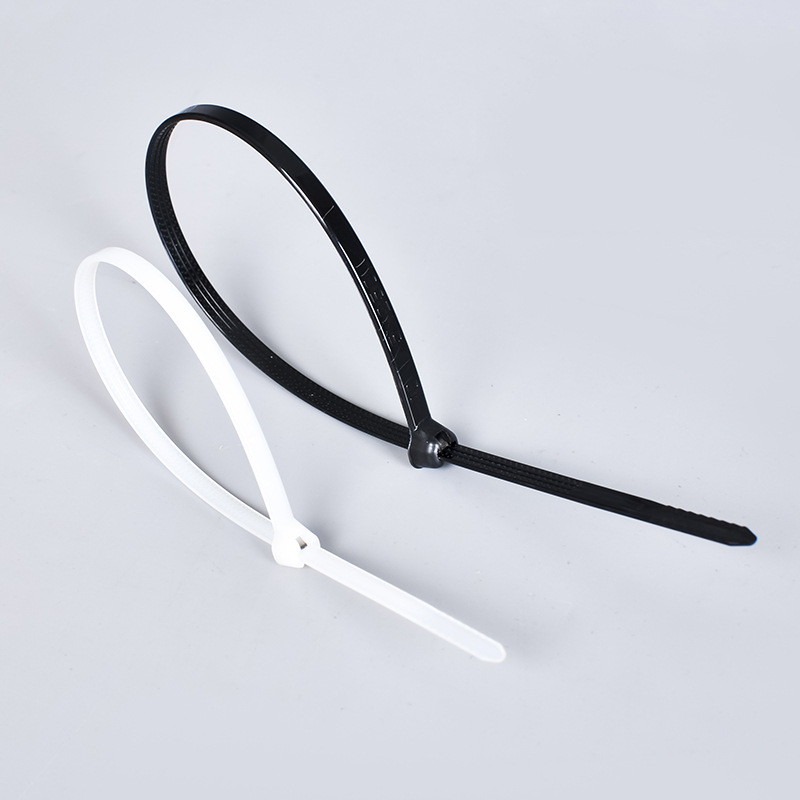 Picture of Marine Cable Tie Marine Nylon Cable Tie Steel Sheet Metal Buckle Cable Tie Inset 304 Stainless Steel Core Inset Cable Tie
