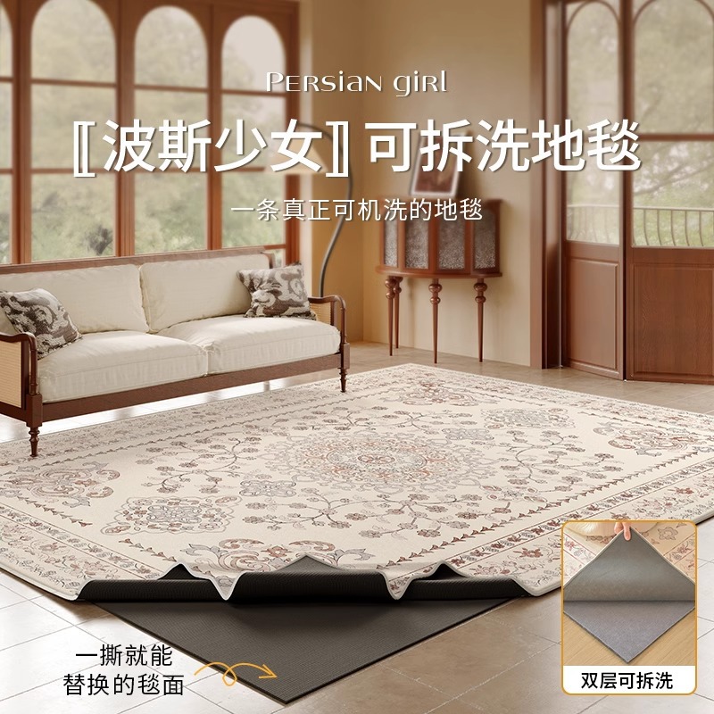 Removable and Washable Carpet Living Room 2025 New Retro French Sofa Bedroom Floor Mat Home No-Wash Accessible Luxury High-End Sense