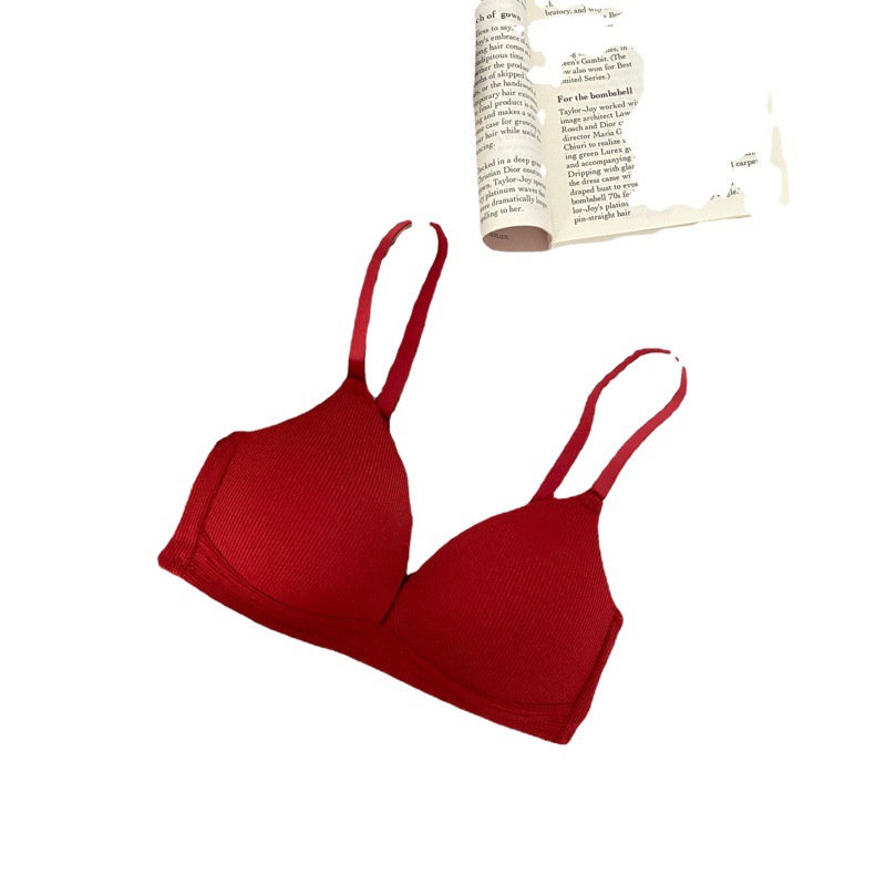 French Triangle Cup girl push up bra comfortable breathable wireless white bra thin underwear