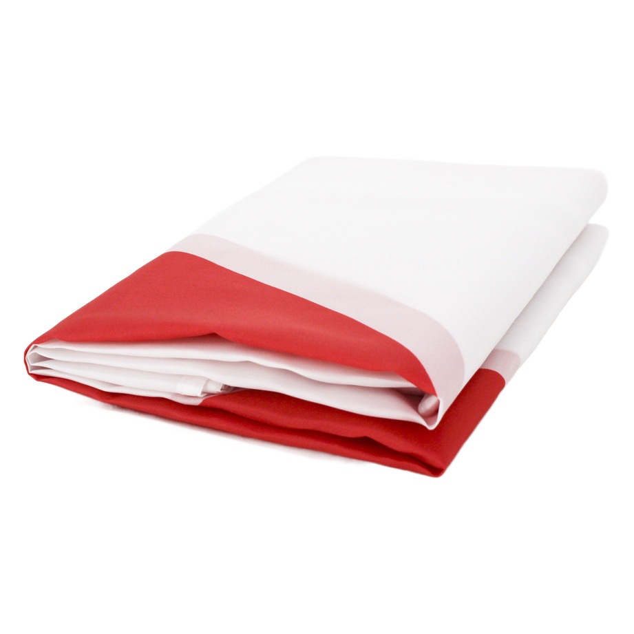 90*150cm Japan flag manufacturers 3 * 5ft polyester flag cross-border supply Japan flag in stock wholesale