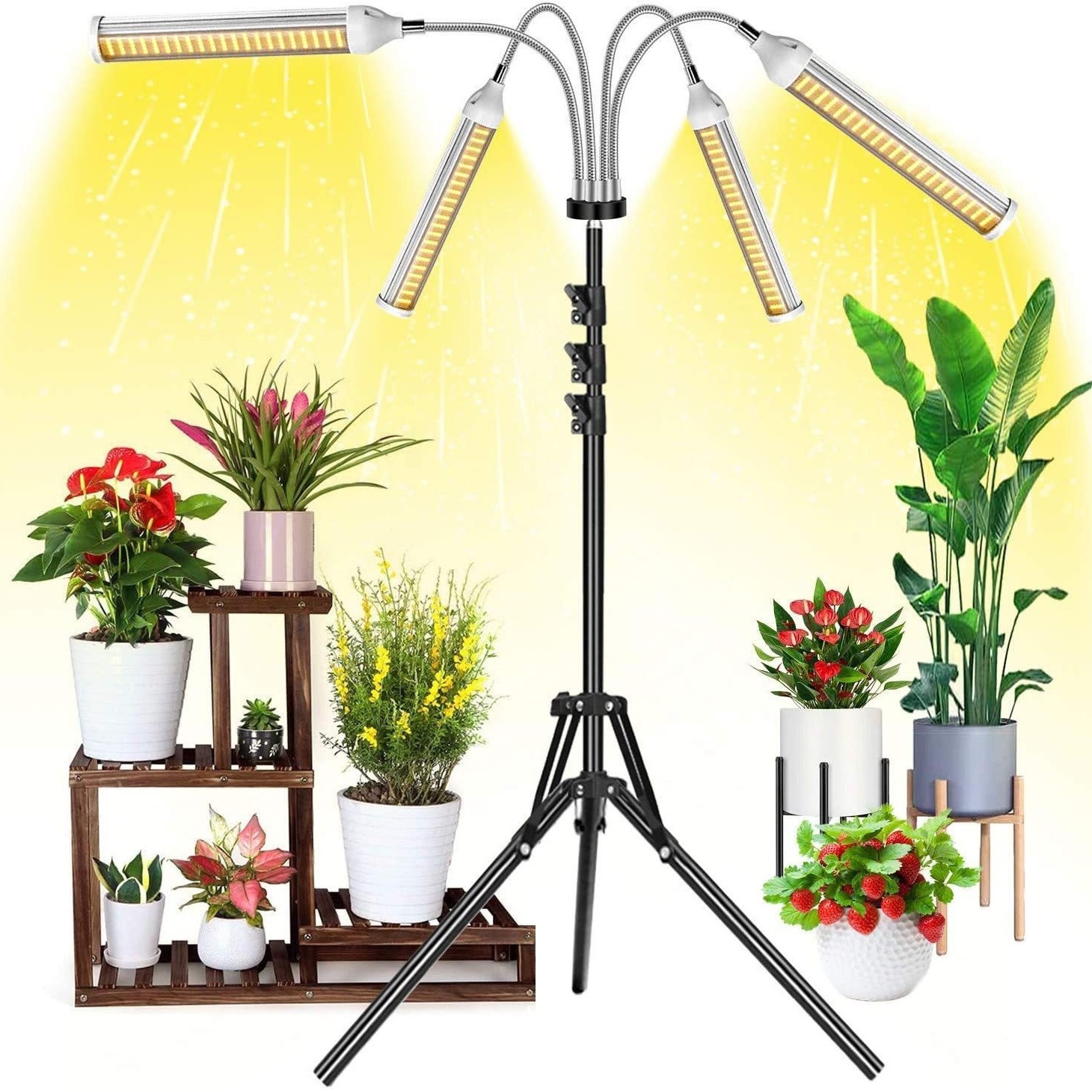 Plant Growth Lamp 12V Plant Lamp Fill Light Clip Dimming Timing Full Spectrum Seedling Imitation Sunlight Factory
