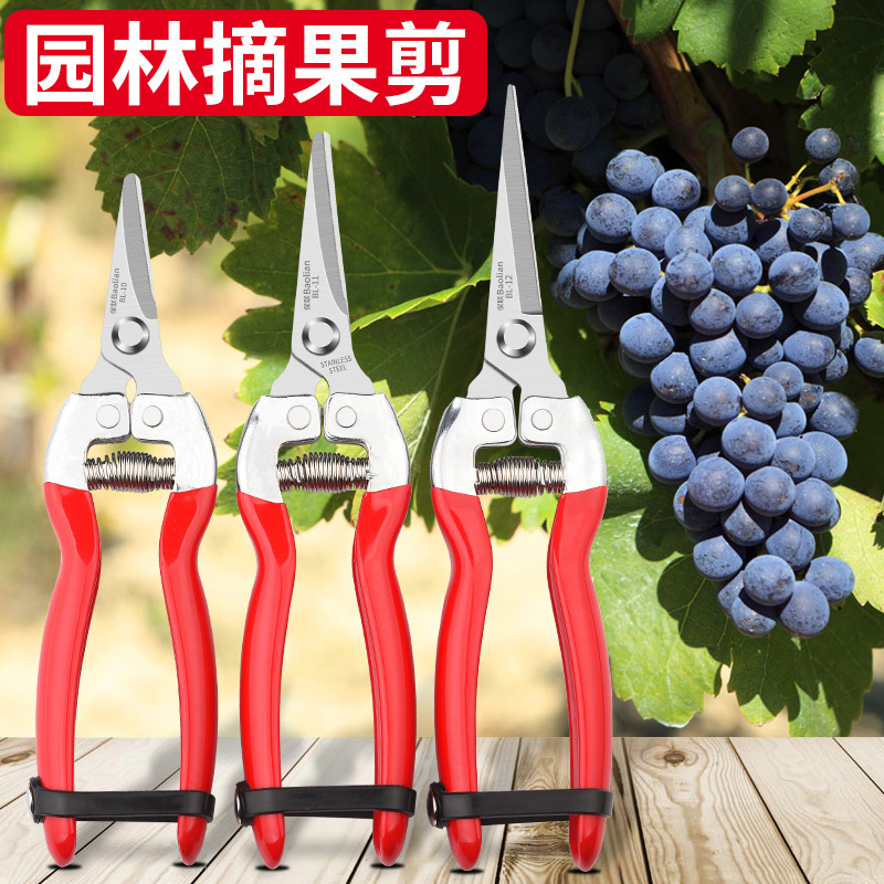 Pruning Scissors, Fruit Picking Tool, Multifunctional Gardening Fruit Picking Tool, Flower Pruning Scissors, Branch Scissors, Fruit Picking Tool
