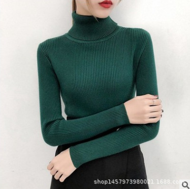Picture of Autumn Clothing K-Style 2023 New Versatile Pure Color Slim Fit Pullover High Collar Warm Long-Sleeved Knitted Sweater for Women
