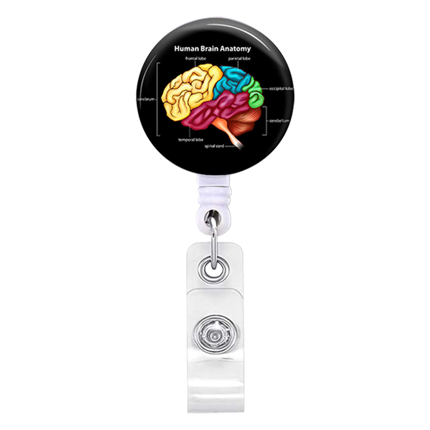 Picture of Heart, Spleen and Lung Brain, Large Intestine Organ Easy-Pull Buckle, Telescopic Easy-Pull Id Buckle, Doctor Nurse Badge Buckle Badge