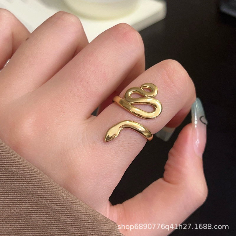 European and American Fashion Exaggerated Stainless Steel Ring Women's Personality Niche Retro Style Color-free Snake-shaped Open Titanium Steel Ring