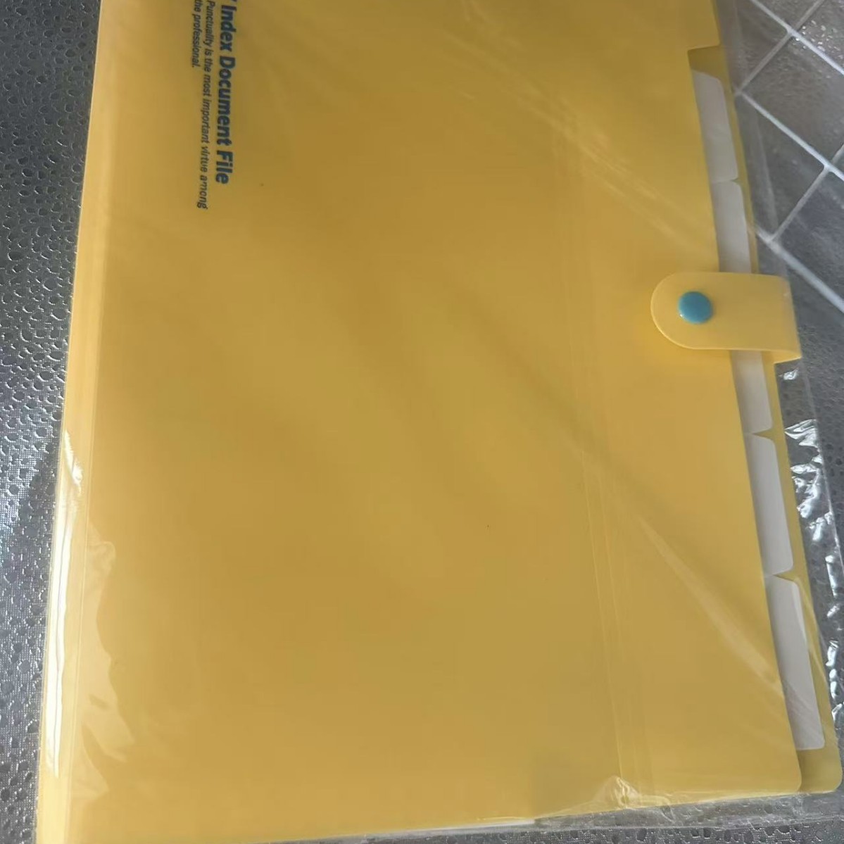 Picture of Plastic organ bag a4 multi-layer organ bag insert folder business multi-function file bag PP file bag in stock