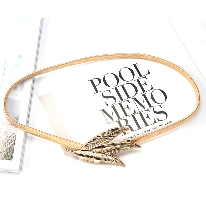 Picture of Metal Spring Belt for Women, Korean Style, Fashionable and Versatile, Dress, Shirt, Sweater, Elastic Waist Chain, Girdle