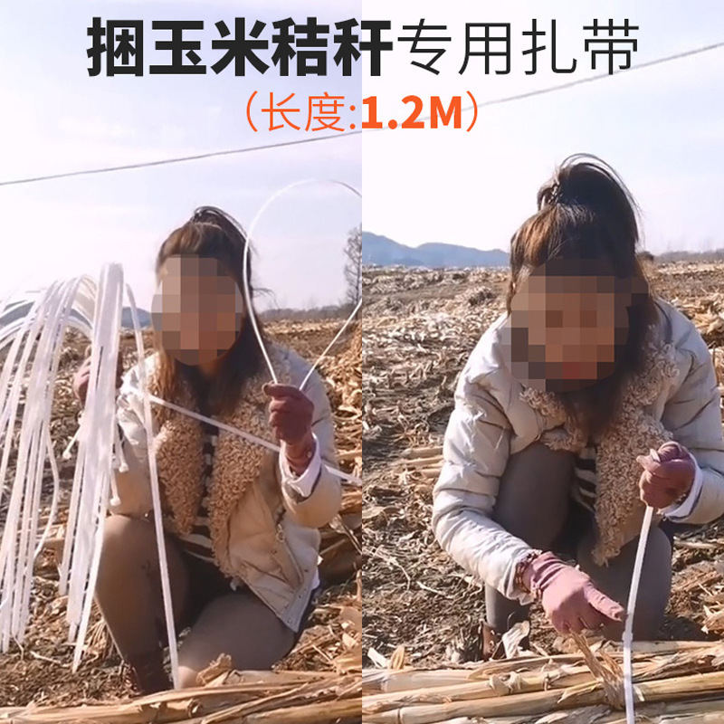 Picture of Extended Straw Strapping Corn Rod 1 Nylon Cable Tie Easy to Store High Strength Reinforcement