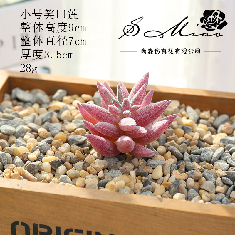 Picture of 006 Flocked Red Series Succulents Creative DIY Supplies Accessories Factory Direct Supply Wholesale Artificial Green