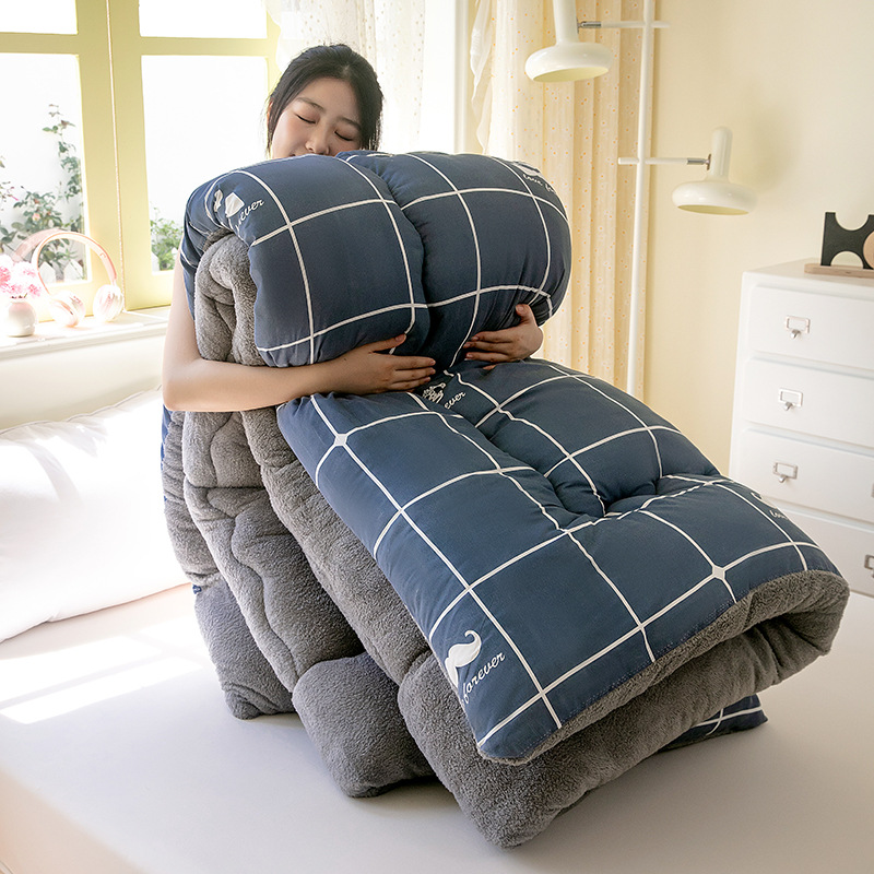 Picture of Cross-border Lamb Velvet Sanding Printed Winter Quilt Spring and Autumn Thickened Quilt Core Single Double Student Dormitory Air-conditioning Quilt